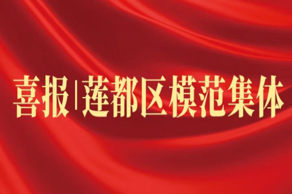 喜報丨浙江中立建設榮獲蓮都區(qū)“模范集體”稱號！